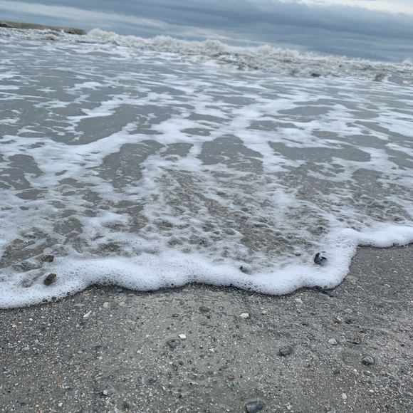 Meet your Posher, Macy - Picture 1 of 1